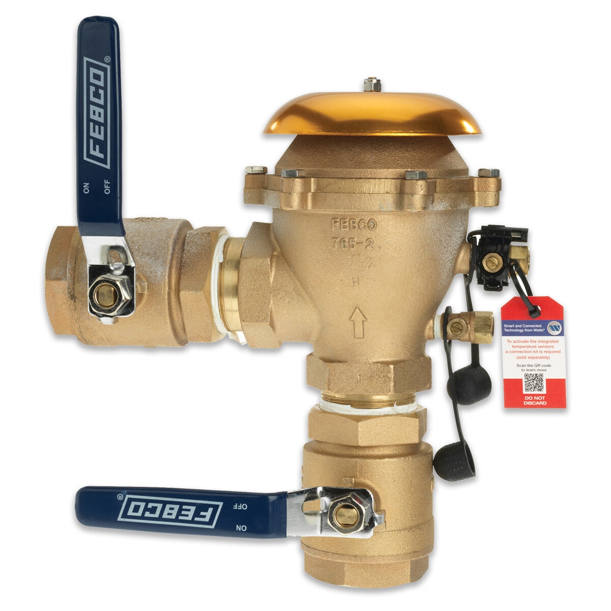FEBCO 765 Pressure Vacuum Breaker w/ Ball Valves 2 in. Bronze w/ Freeze