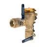 FEBCO 765 Pressure Vacuum Breaker w/ Ball Valves 2 in. Bronze w/ Freeze Sensing Capability