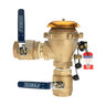 FEBCO 765 Pressure Vacuum Breaker w/ Ball Valves 2 in. Bronze w/ Freeze Sensing Capability
