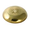 Febco 765 Vacuum Breaker Canopy 1 in. & 1-1/4 in. Brass