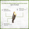 FX CA51,ECO6VA,K27,WFL,FB Cora Accent Light Flat Black