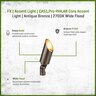 FX CA51,PRO4VA,K27,WFL,AB Cora Accent Light Antique Bronze