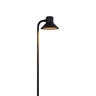 FX Path Light Flat Black