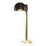 FX RW Path Light 24 in. Riser Aluminum Bronze Finish 4.2W 2700K LED