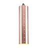 FX VE Down Light ZD Copper 3LED w/ Perforated Sleeve