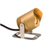 FX LL Dimmable Color Changing Under Water Light Brass Housing Natural Brass 9.1W 2700K LED 100ft. Lead