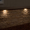 FX LF Dimmable Color Changing Wall Light Brass Housing Bronze 3.6W 2700K LED