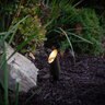 FX CA51,ZD5VA,30K,FLDAB Cora Accent Light Antique Bronze