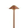 FX CA Path Light 12