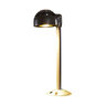 FX RW Luxor ZDC Path Light 18 in. Riser Aluminum Bronze Finish 9.1W