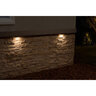 FX LF Dimmable Color Changing Wall Light Brass Housing Copper 3.6W 2700K LED
