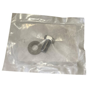 Bolt 5/16 in. x 5/8 in. SS 5/16 in. Washer