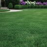 Ferti Tech Fertilizer 8-14-6 Humics 50 lb.
