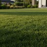Ferti Tech Fertilizer 26-0-13 30% CRN MOP 50 lb.