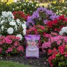 Ferti-Lome Azalea, Camellia, Rhododendron Food 9-15-13 AM 0.02% B 0.05% Cu 0.1% Fe 0.05% Mn 0.05% Zn Granular Fertilizer 3.25 lb. Bag