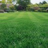 Ferti-Lome Lawn Food Plus Iron 24-0-4 + Micros Turfgrass Granular Fertilizer 20 lb. Bag