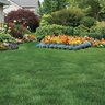 Ferti-lome Premium Bedding Plant Food 7-22-8 16 lb.