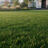Ferti-Lome For All Seasons II 16-0-8 + Micros Pre-Emergent Granular Herbicide Plus Fertilizer 20 lb. Bag