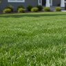 Ferti-Lome New Lawn 9-13-7 + Micros Starter Granular Fertilizer 20 lb. Bag