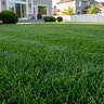 Ferti-Lome New Lawn Starter Fertilizer 9-13-7 4 lb. Bag