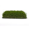 FieldTurf Classic Tall Synthetic Turf 65 oz. Face Weight 1.875 in. Field/Apple Green Blades Field Green/Tan Thatch