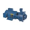 Flint & Walling Centrifugal Pump 7.5 HP 3 Phase 2 Stage