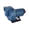 Flint & Walling SPJ Centrifugal Pump Self-Priming Brass Impeller 1-1/2 HP 115/230V 1 Phase Cast Iron