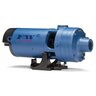 Flint & Walling CJ 2 Stage Centrifugal Pump Brass Impleller 1-1/2 HP 115/230V 1 Phase Cast Iron