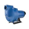 Flint & Walling SPJ Centrifugal Pump Self-Priming Brass Impeller 2 HP 115/230V 1 Phase Cast Iron