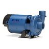Flint & Walling CJ Centrifugal Pump Brass Impleller 1 HP 115/230V 1 Phase Cast Iron
