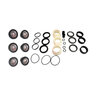 P530 Pump Rebuild Kit Includes Kits 43-530-325 & 43-530-350