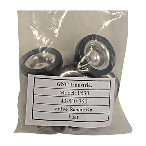 P530 Valve Repair Kit