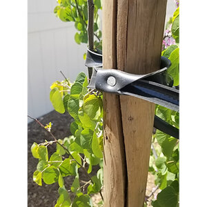 GPH 32" Long Tree Tie w/1 Nail
