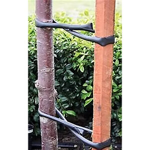 GPH 36" Long Tree Tie w/1 Nail