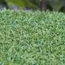 GST Synthetic Turf Putting Green 46 oz. Face Weight 1/2 in. Bi-Color Green Blades No Thatching