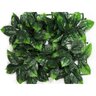GST IVY Synthetic Holly Hedge 20 in. x 20 in.