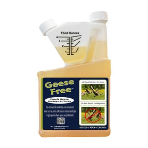 Geese Free Repellent 36 oz. Jug
