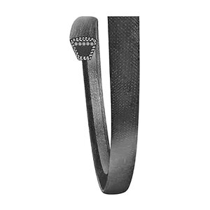 Gardner V Blade Belt