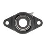 Tritan 2-Bolt Flange Bearing Unit, SAPFL205-16 (Renovator Shafts, 1 in. ID)