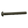 Screw Round Phil Mach SS 1/4 in.-20X 2 in.