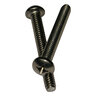 Screw Round Phil Mach SS 1/4 in.-20X 2 in.