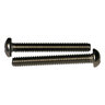 Screw Round Phil Mach SS 1/4 in.-20X 2 in.