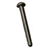 Screw Round Phil Mach SS 1/4 in.-20X 2 in.