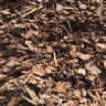 Bark Bits/Small/Mini Nugget Mulch 3 cu. ft. Bag