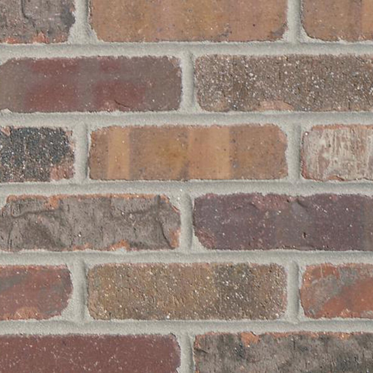 General Shale Thin Brick Flats Peppermill 2-1/4 in. x 7-5/8 in. x 1/2 ...
