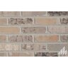 General Shale Thin Brick Veneer Flats Ironworks (6.85 sq. ft./box) (50 pc./box)