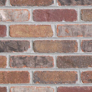 General Shale Modular Brick Cored Culpepper 7-5/8 in. x 3-5/8 in. x 2-1/4 in. (500 pc./pallet)