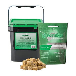 Generation Mini Block (20 gm.) 4 x 4lb. Bags (Sold as Case)