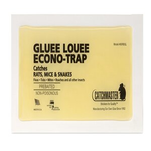 Gluee Louee Rat Glue Trap 60 cs. #60Rbgl