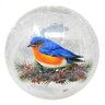 Decorative Crack Glass Globe Bluebird w/LED 6 in.